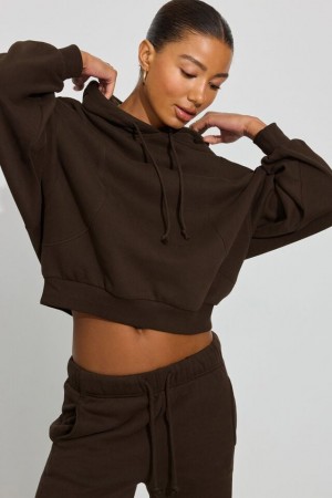 Garage Ultrafleece Seamed Women Hoodie Brown | A-2759140